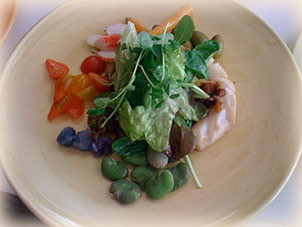 Salad plate